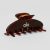 Brown Tortoise